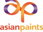 Painter -Moratuwa