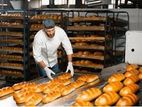 Pastry and Bakery Helper (Male/Female) - Kurunegala