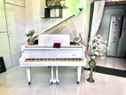 Pearl White Danemann Concert Grand Piano Ivory Keys