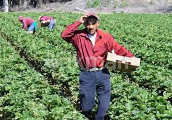 b21a7418-f7dc-4727-90fe-5d1797255b01