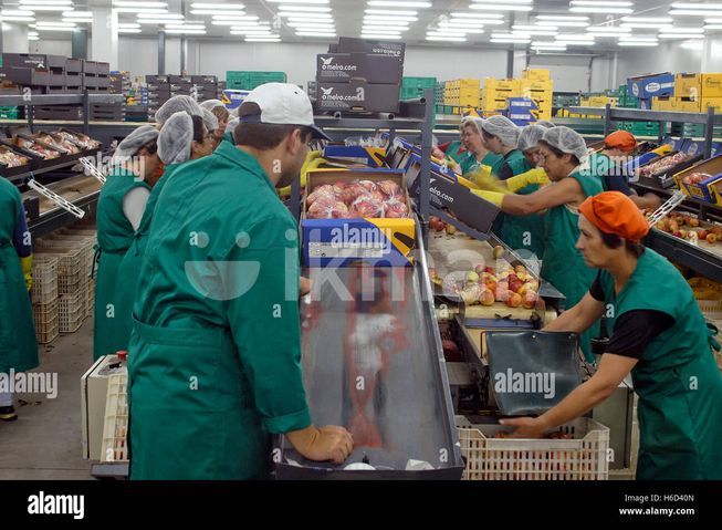 d93212e4-fba3-4968-82e5-bed4b694bb8b