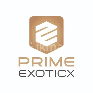 Prime Exoticx logo