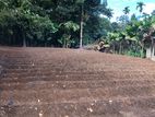 Prime Residential Land for Sale on Katugasthota-Gohagoda Road