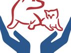 Production Executive - Pet treatment