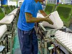 Production/Packing Helpers - katunayake