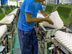 Production/Packing Helpers - katunayake