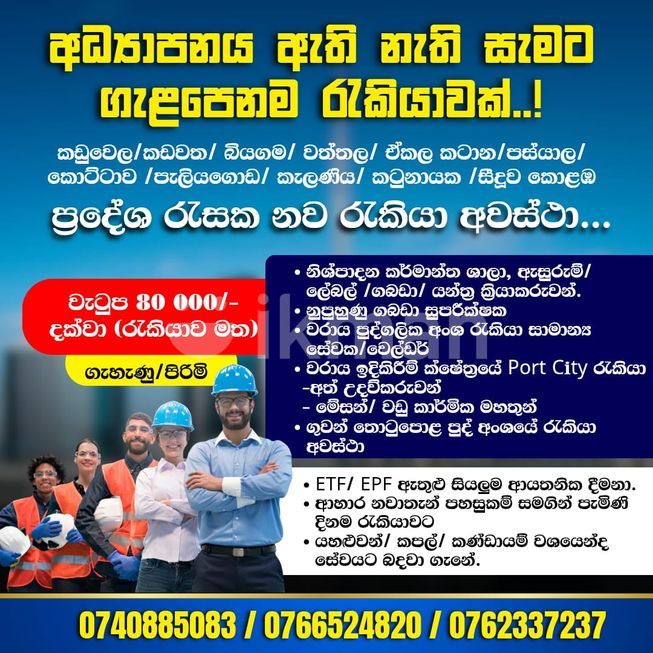 d50f1d57-f2d8-4583-941a-eab07d92d76b