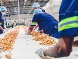 Production Packing Officer - Colombo