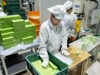 Production /Packing Officer- Colombo
