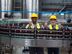 Production/ Packing Officer - Colombo