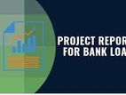 Project Reports - For Bank Loans Online