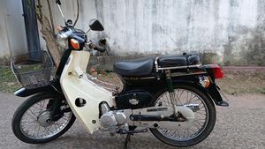 Ranomoto 2020 for Sale