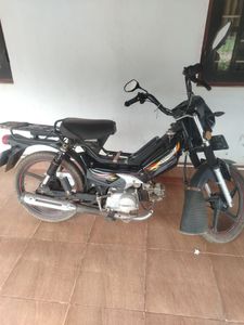 Kinetic Safari 2021 for Sale