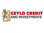 Recovery Officer (Loan)