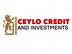 Recovery Officer (Loan)