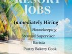 Resort All Department Vacancies - Male Female island Apply .