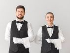 Restaurant Waiter - Kandy
