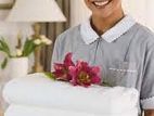 Room Assistant (Male) - Colombo 03