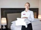 Room Assistant (Male/ Female) - Chilaw