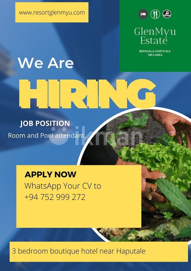 Room Attendant Vacancy Haputale IkmanJOBS room-attendant-vacancy-haputale-ikmanjobs