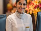 Room boy Waiter All hotel Staff - island Apply