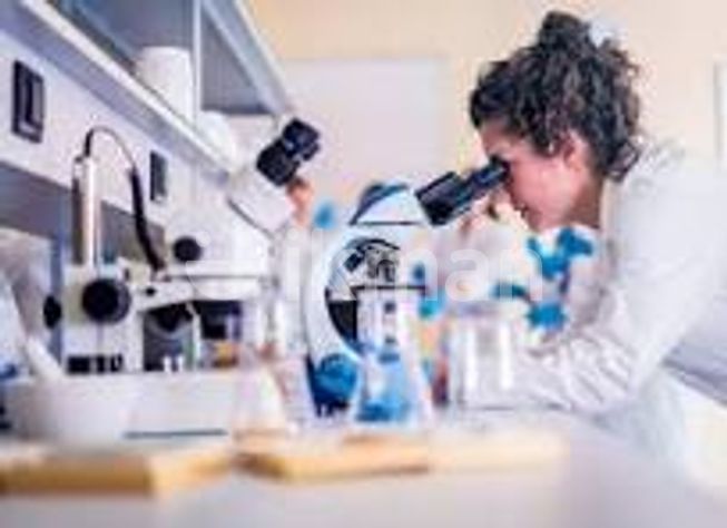 5a4824fb-273e-4537-9f83-ea6ed7569218