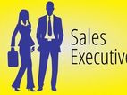 Sale Executive