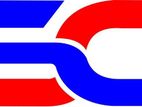 Sales Executive