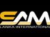 Marketing Executive