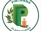 Sales and Marketing Executive