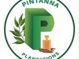 Sales and Marketing Executive