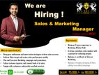 Sales & Marketing Manager - ᴹᵃᵗᵃˡᵉ