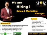 Sales & Marketing Manager - ᴹᵃᵗᵃˡᵉ
