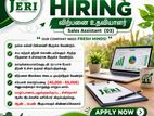 Sales Assistant (03)