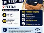 Sales Assistant