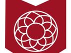 Sales Assistant