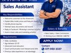 Sales assistant for bajaj showroom- Rajagiriya