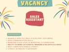 Sales Assistant - Ice Cream shop