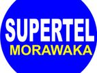 SALES EXECUTIVE AND CUSTOMER SERVICE OFFICER