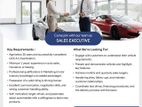 Sales Executive – Automotive