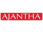 Sales Executive - Colombo 10