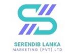 Sales Executive