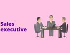 Sales Executive