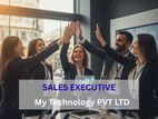 Sales Executive