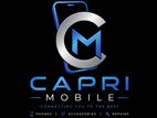 Sales Executive