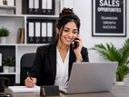 Sales Executive