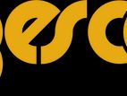 Sales Executive