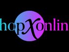 Sales Executive