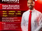 Sales Executive