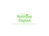 Sales Executive